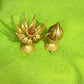 Brass Lotus Flower on a Turtle’s Back Incense Cone Burner