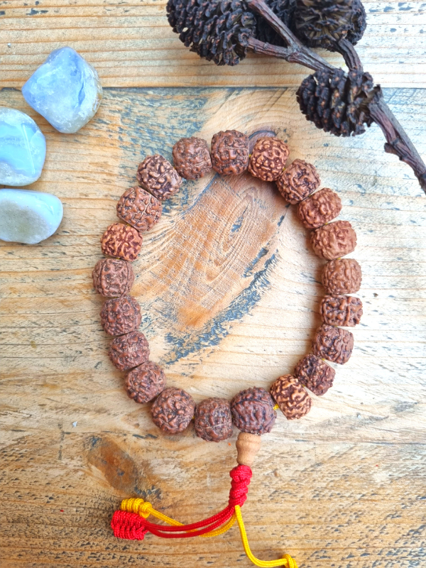 Natural Rudraksh Bracelet - Rudraksha Seeds On Adjustable Bracelet