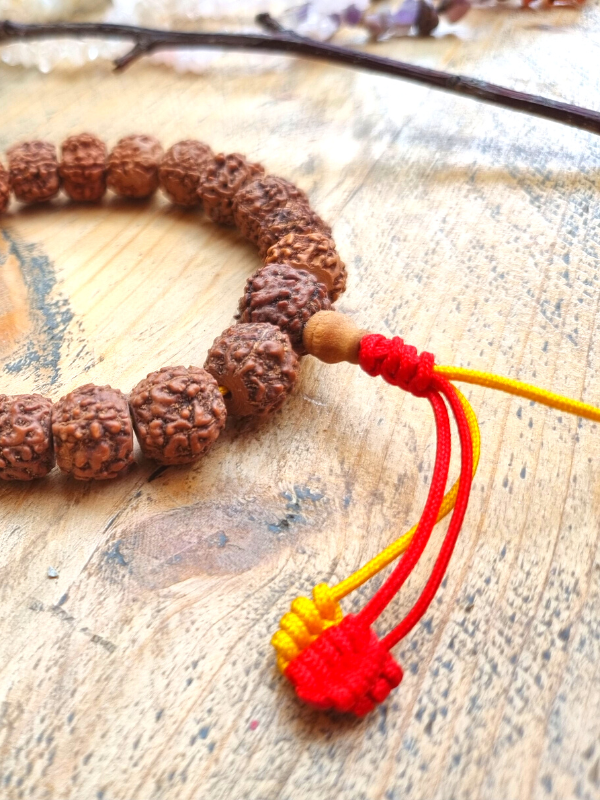 Natural Rudraksh Bracelet - Rudraksha Seeds On Adjustable Bracelet